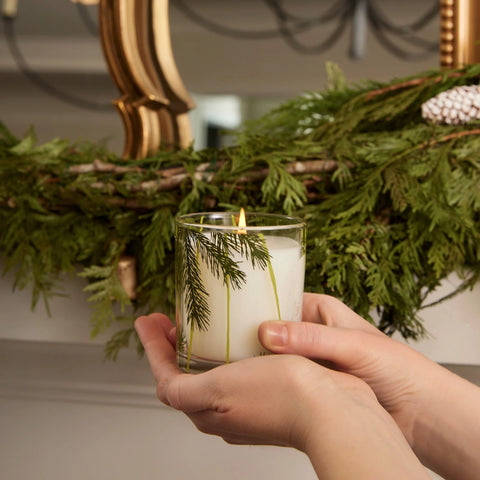 Frasier Fir® Pine Needle Candle, 6.5 oz