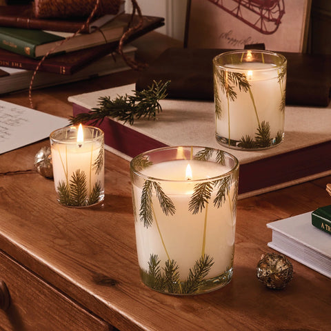 Frasier Fir® Pine Needle Poured Candle, 13 oz