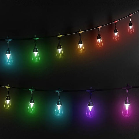 Twinkly Plus S14 Bulbs String, 40 RGBW LEDs, PLC, Black Wire