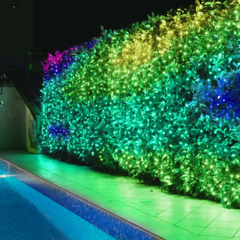 Twinkly Pro Curtain, 10x25 RGBW LEDs, PLC, Black Wire