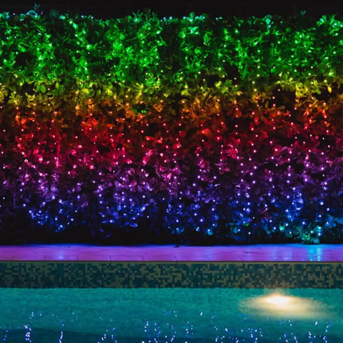 Twinkly Pro Curtain, 10x25 RGBW LEDs, PLC, Clear Wire