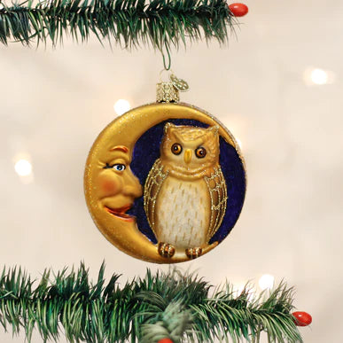Owl In Moon Glass Ornament